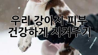 우리 강아지, 피부 건강하게 지켜주기🐶